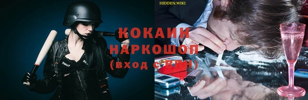 молекула духа Болохово