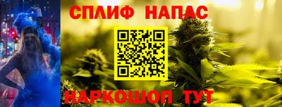 СК Малоярославец