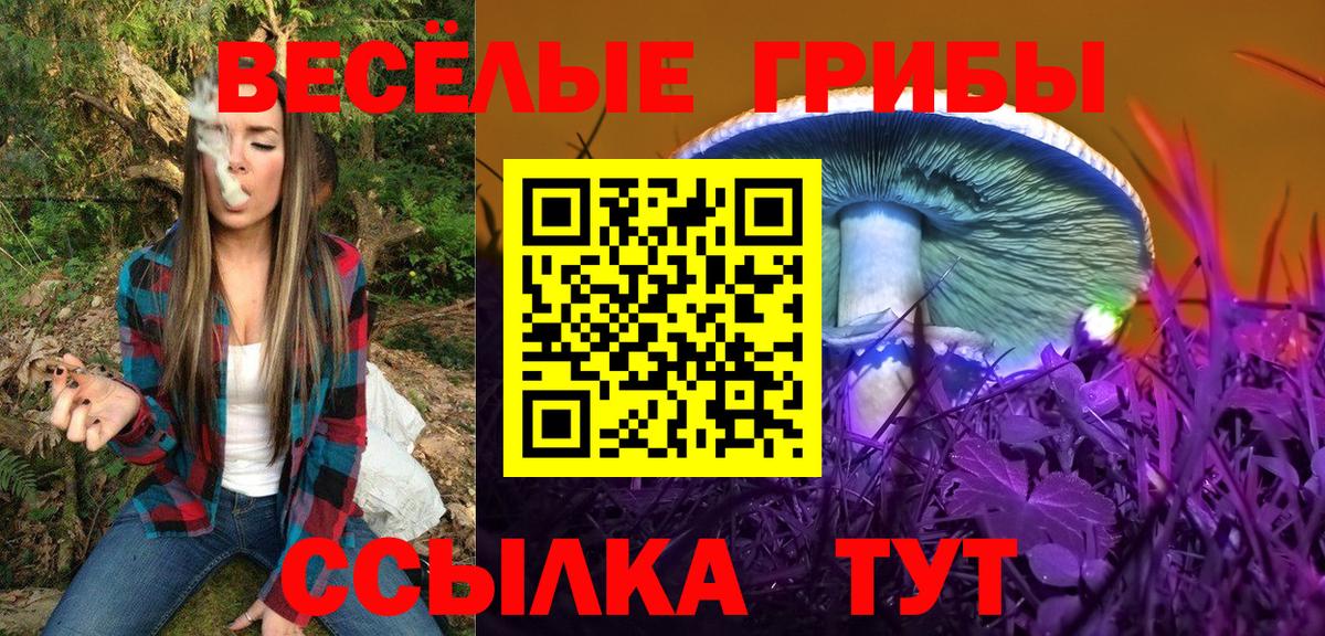Псилоцибиновые грибы Cubensis Добрянка