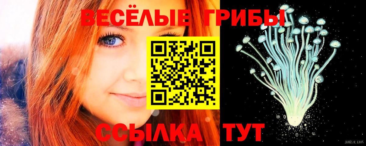 Галлюциногенные грибы ЛСД  Галлюциногенные грибы Psilocybe  Добрянка  Вход с VPN 