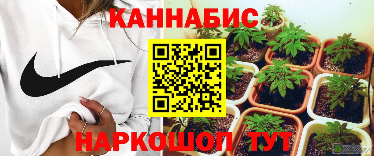 Добрянка  Канабис планчик  МАРИХУАНА сатива  Вход с VPN 